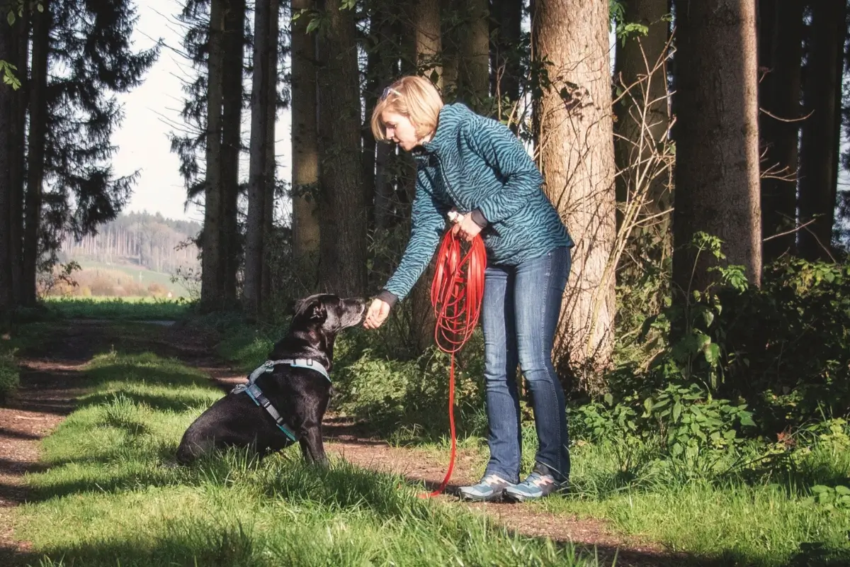 Daniela belohnt Tierschutzhund Happy mit einer Futtertube