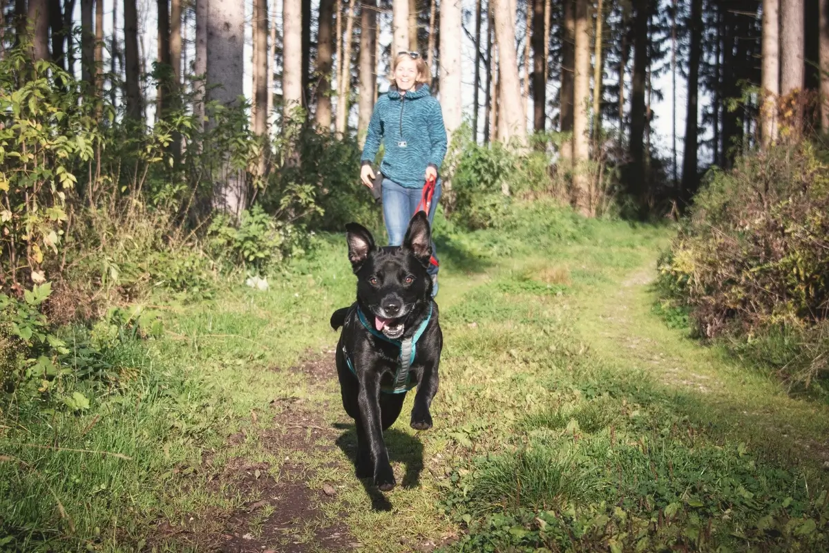 Daniela und Happy rennen gemeinsam durch den Wald