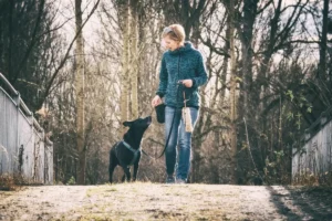 Daniela Loibl & Happy üben lockere Leine