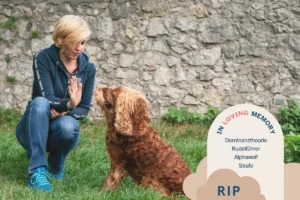 Daniela Loibl und Jimmy begraben Strafe und Dominanz