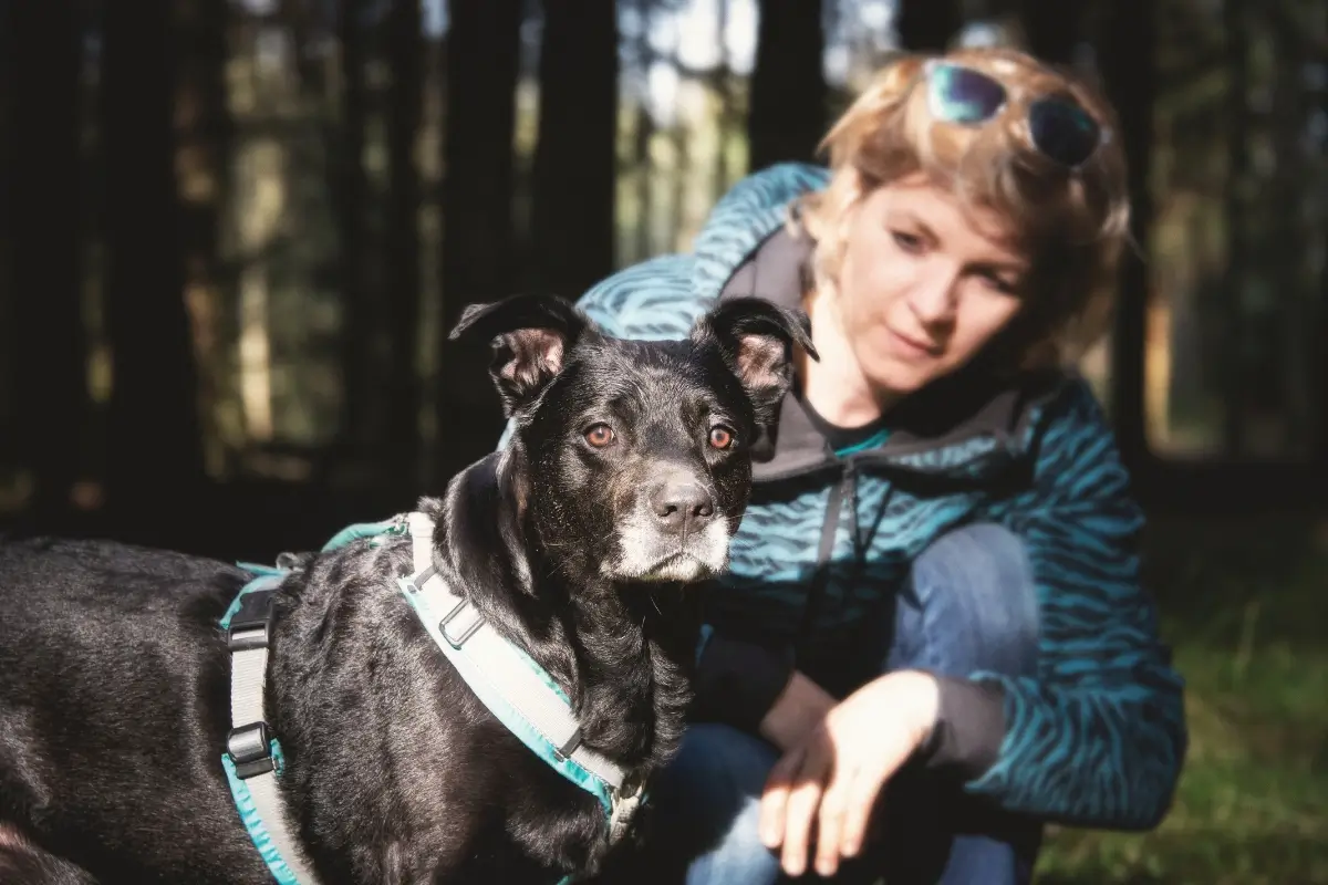 Daniela und Happy im Wald