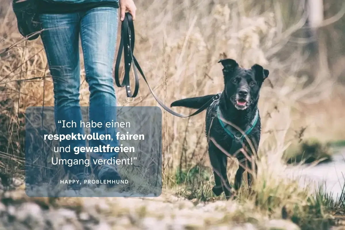 Tierschutzhund Happy und Frauli unterwegs