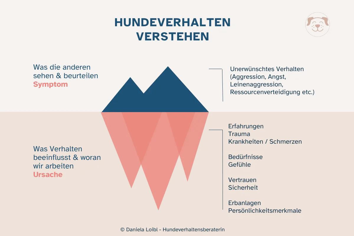 Hundeverhalten verstehen - Eisbergmodell