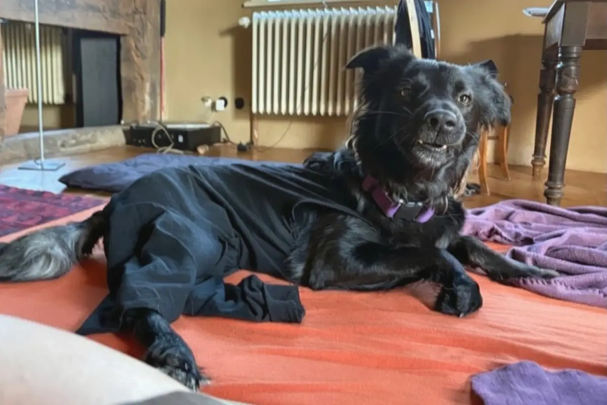 Suki nach erfolgreicher OP