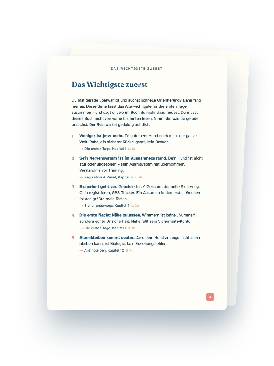 Buchseite: Das Wichtigste zuerst