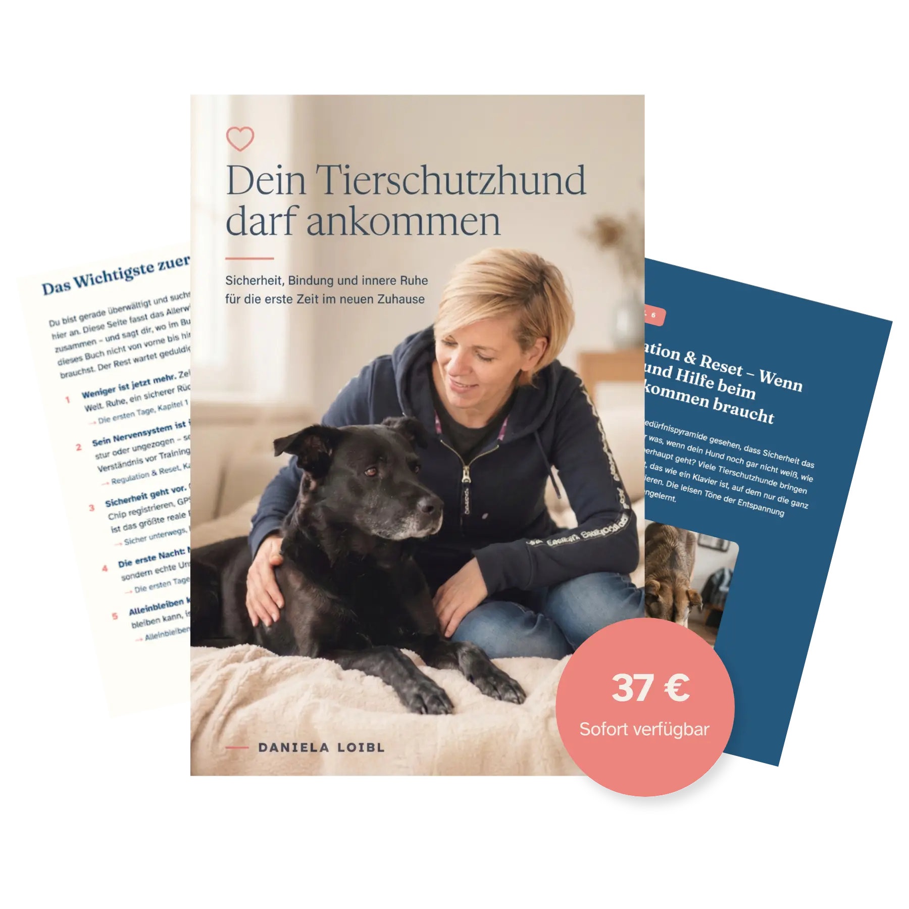 Mockup E-Book "Dein Tierschutzhund darf ankommen"
