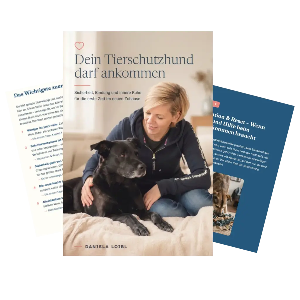 Mockup E-Book "Dein Tierschutzhund darf ankommen"