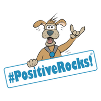 Siegel Initiative Positive Rocks