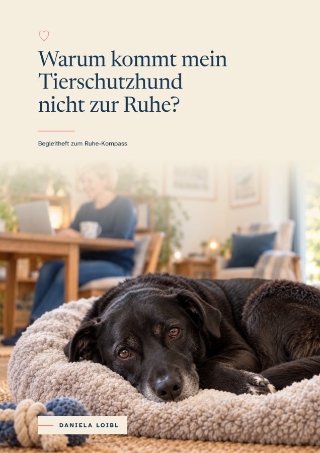 Begleitheft zum Ruhe-Kompass