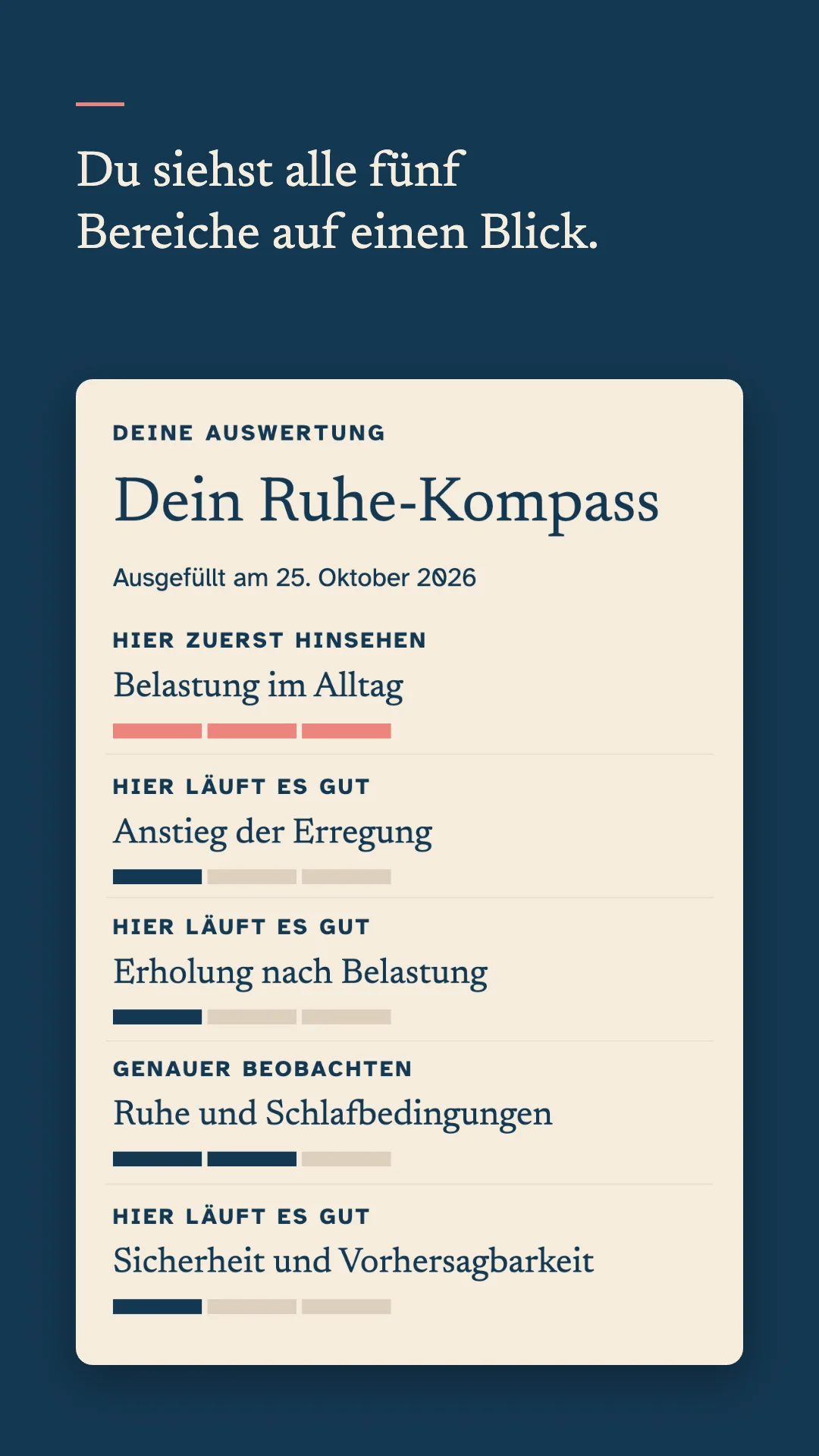Beispielauswertung im Ruhe-Kompass: alle fünf Bereiche auf einen Blick